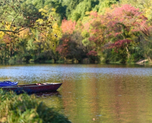 Ein Boot auf einem Fluss