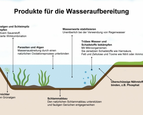 Querschnitt durch ein Gewässer, Schaubild